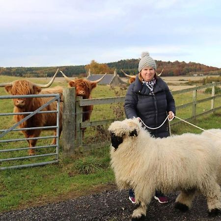 Glampods Glamping Pod - Meet Highland Cows And Sheep Elgin Villa Bagian luar foto