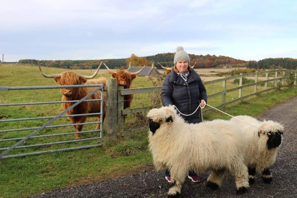 Glampods Glamping Pod - Meet Highland Cows And Sheep Elgin Villa Bagian luar foto