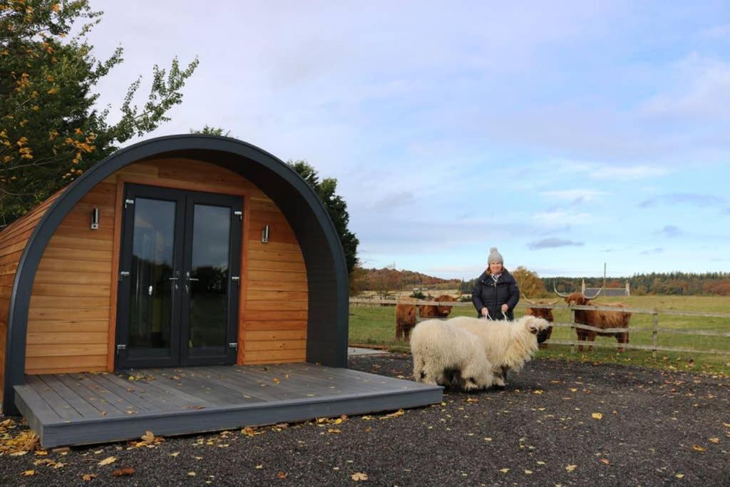 Glampods Glamping Pod - Meet Highland Cows And Sheep Elgin Villa Bagian luar foto