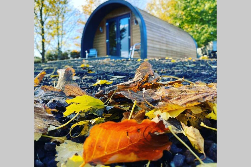 Glampods Glamping Pod - Meet Highland Cows And Sheep Elgin Villa Bagian luar foto
